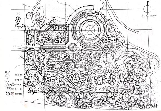公园景观平面图 线稿图片